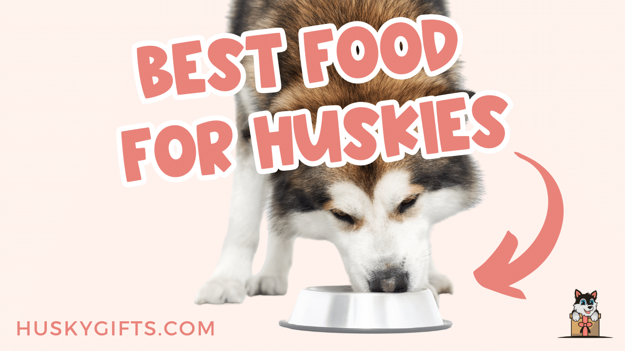 Best dog food for picky husky sale