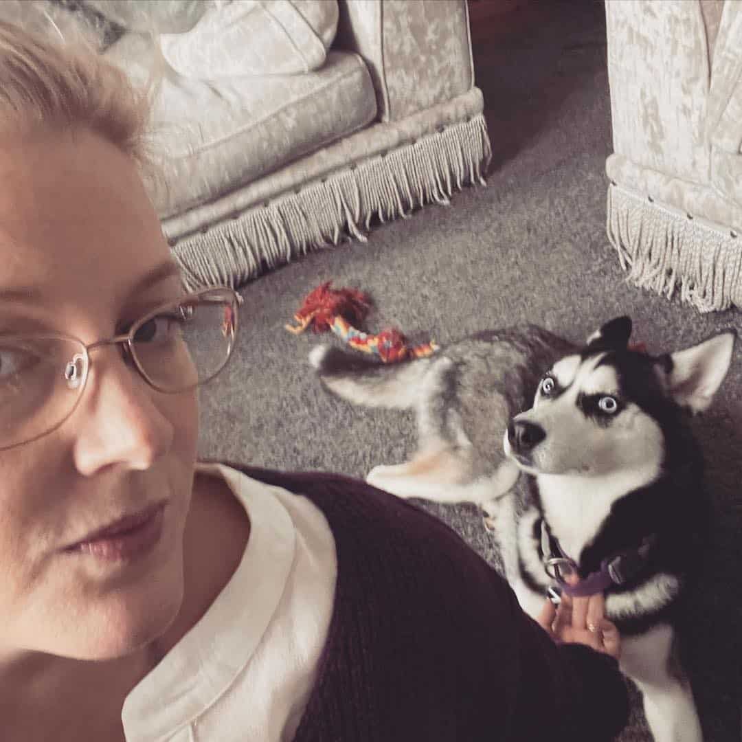 How To Discipline A Husky (Without Being A Bully)