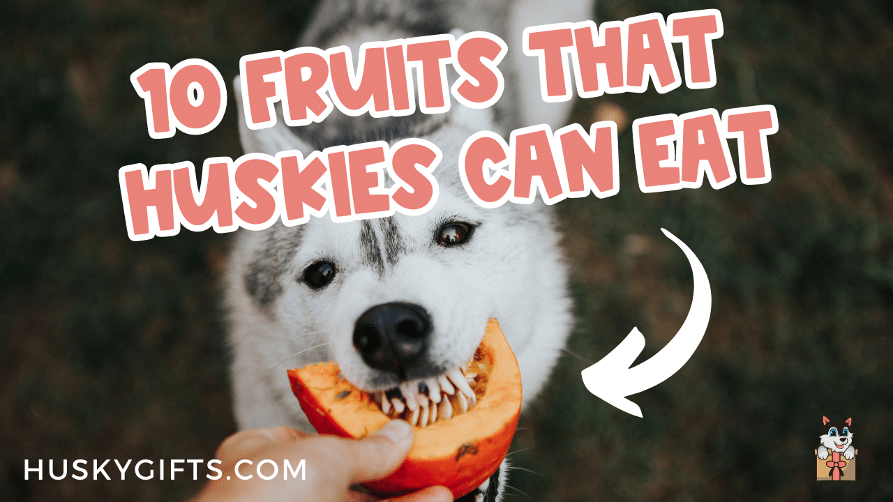 What Fruits Can Huskies Eat?