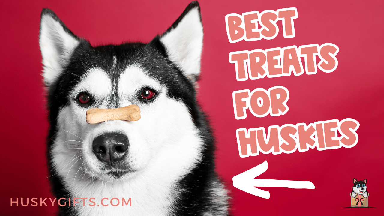 Best dog 2024 treats for huskies