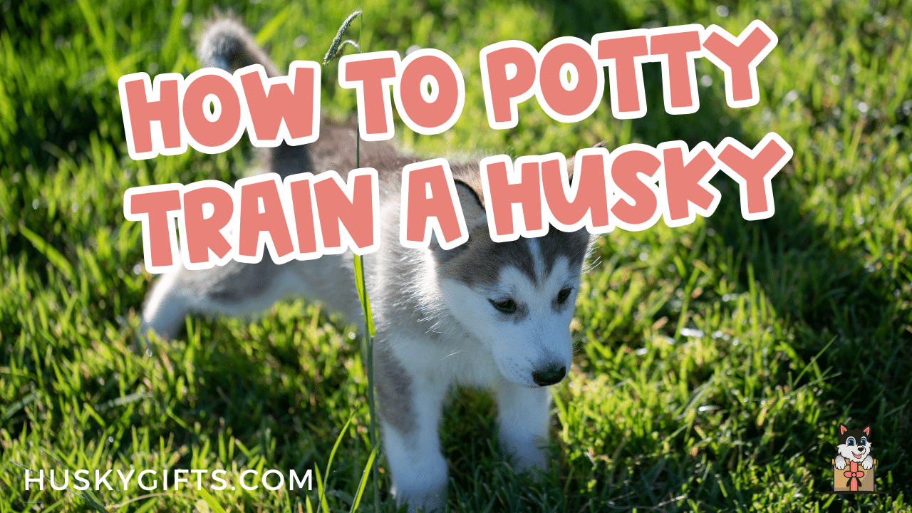 Siberian husky hotsell crate training