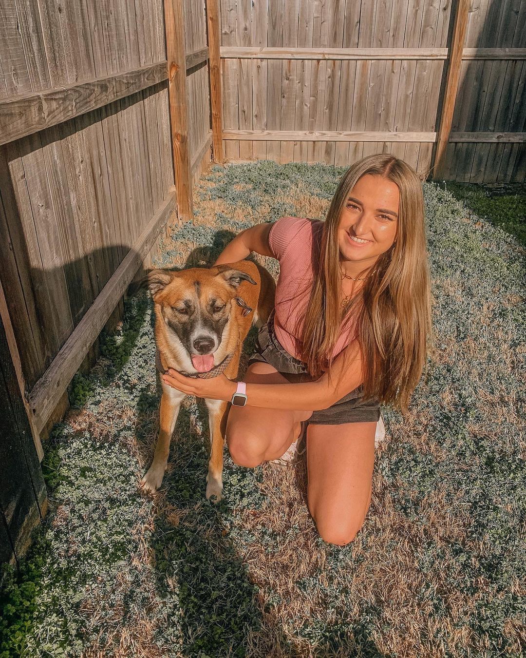 Boxsky Images Boxer Husky Mix (Boxsky): Owner's Guide