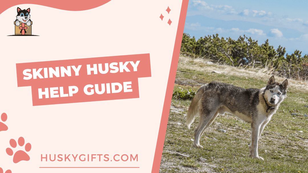 Skinny Husky Help Guide