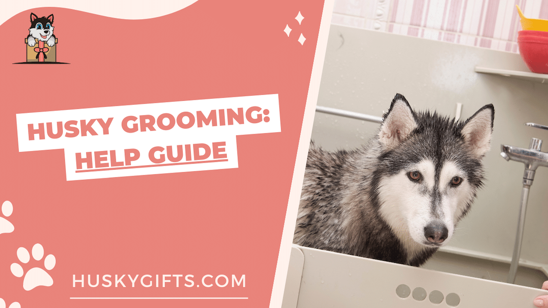 Husky Grooming - How To Groom A Husky