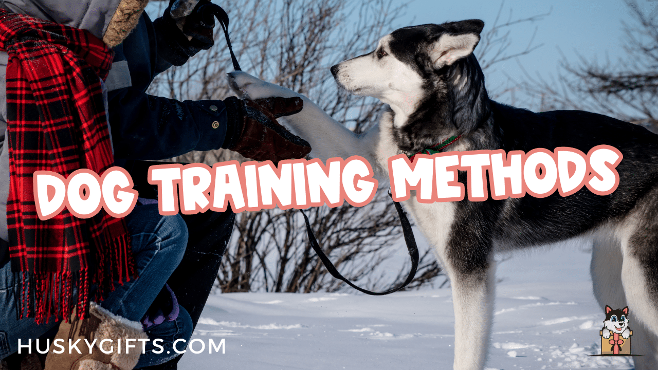 4 Types Of Dog Training Methods (Which Technique Is Best?)