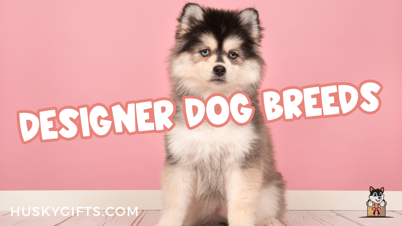 12 Designer Dog Breeds And Their History Photos