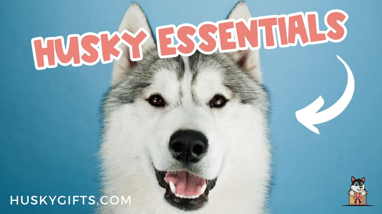 Siberian husky gifts for dog clearance lovers