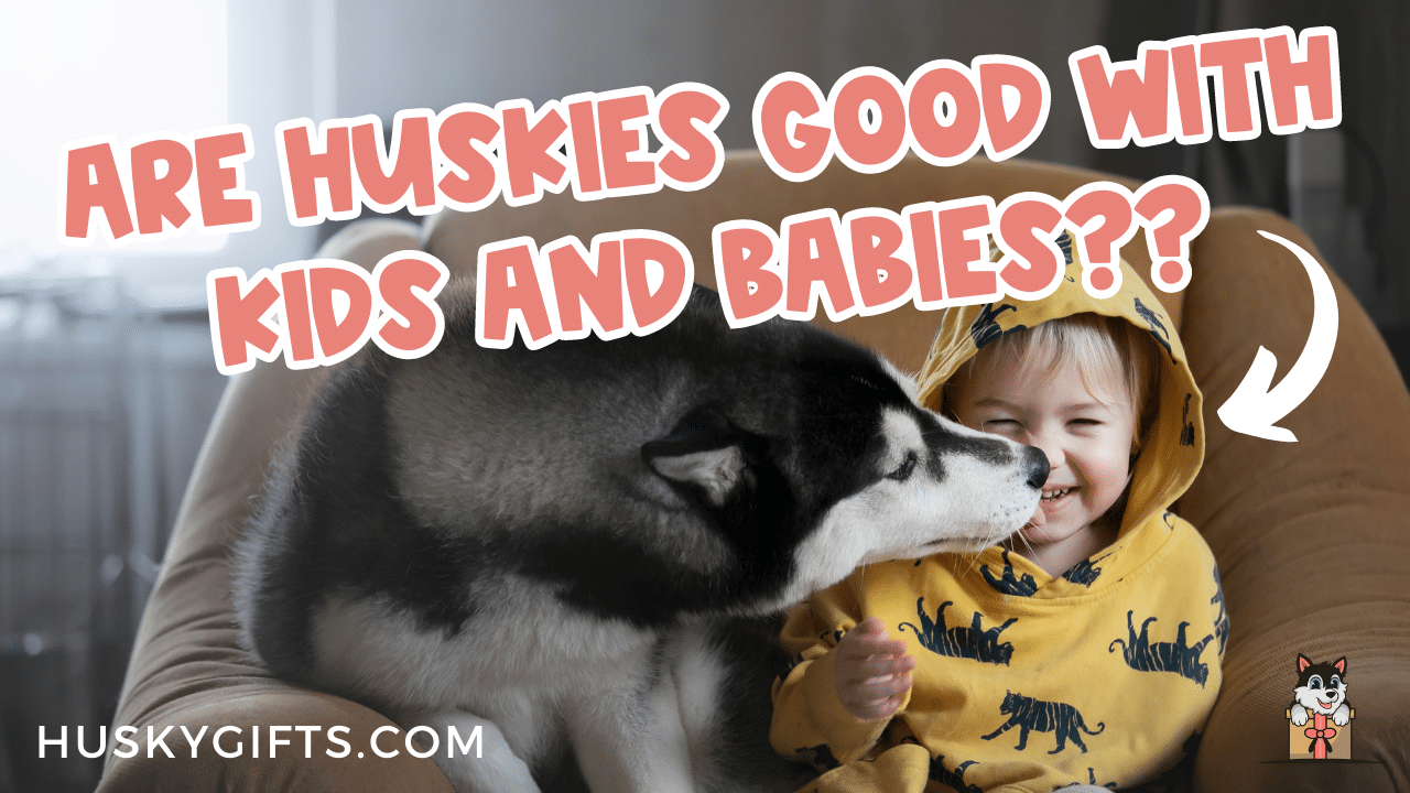 are huskies protective of babies