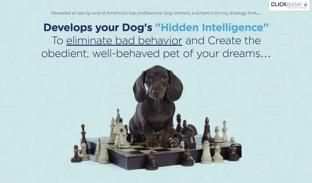 Brain Training For Dogs