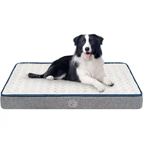 Best dog bed for border clearance collie