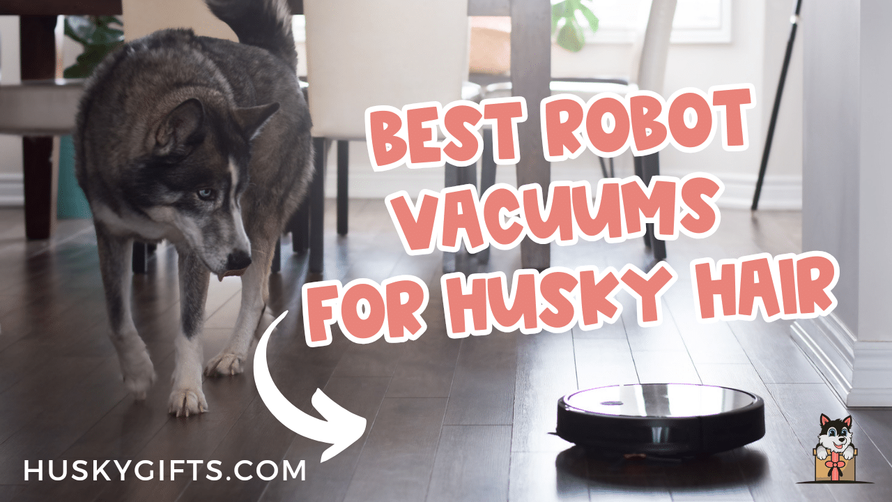 Best Robot Vacuums For Husky Hair