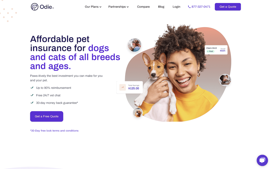 Odie - Affordable Pet Insurance
