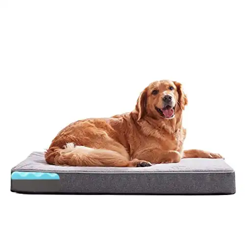 Best cooling outlet orthopedic dog bed