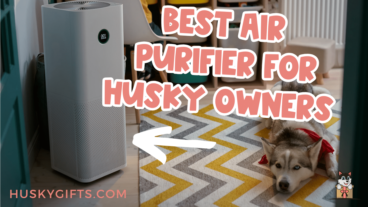 Best Air Purifiers For Huskies And Husky Owners