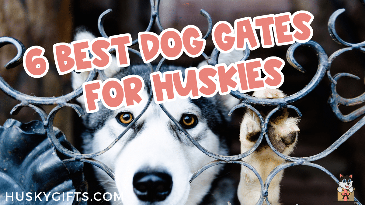 Best puppy outlet gates